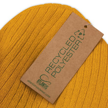 Load image into Gallery viewer, Bahamut Beanie!
